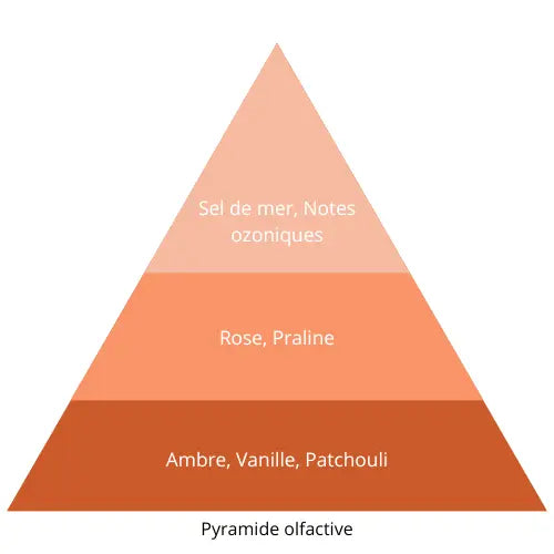 Aisha L’univers Du Parfum