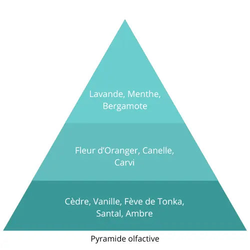 Alpha L’univers Du Parfum