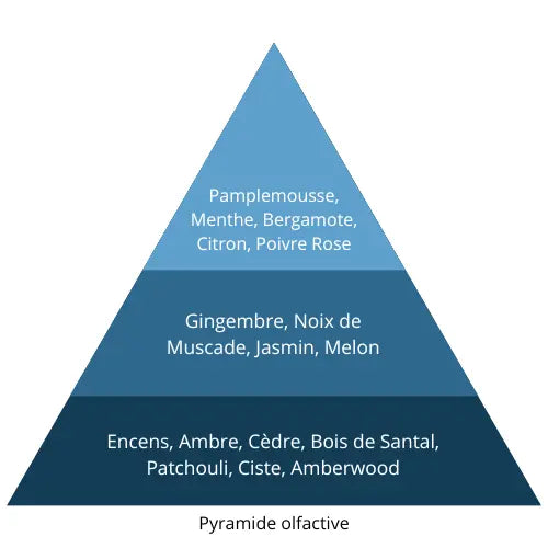 Azur L’univers Du Parfum