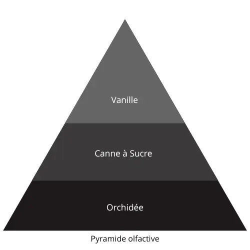 Black Sugar L’univers Du Parfum