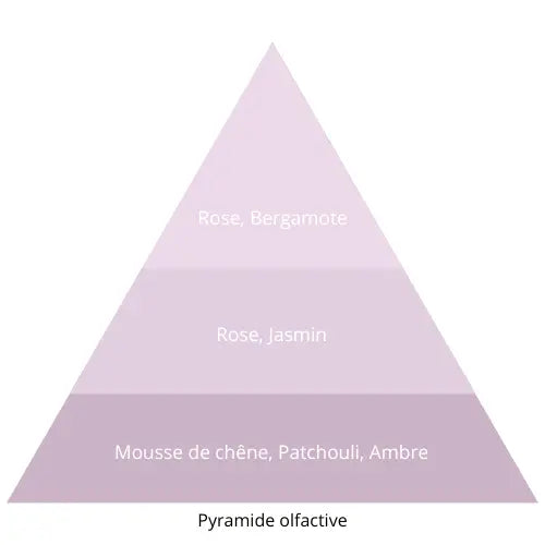 Gris Elixir L’univers Du Parfum