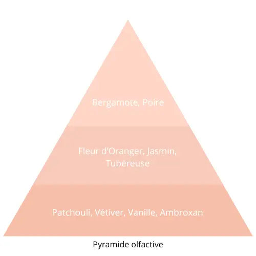 Illégal L’univers Du Parfum