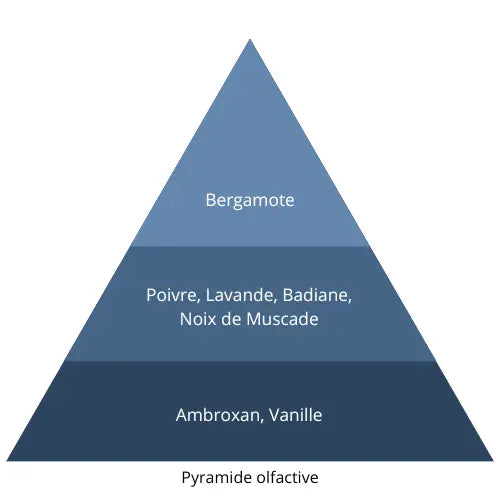Indomptable L’univers Du Parfum