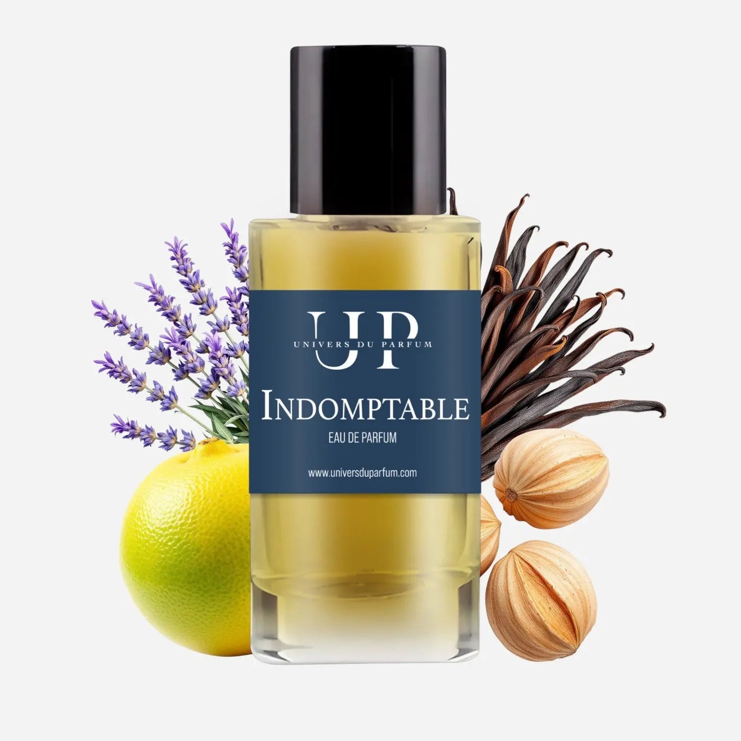 Indomptable L’univers Du Parfum