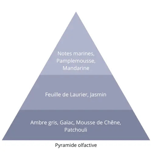 Intense L’univers Du Parfum