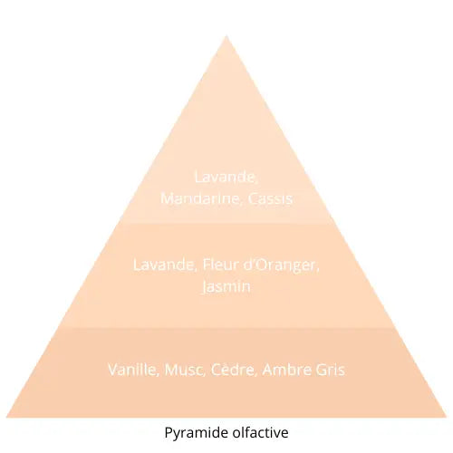 Kaya L’univers Du Parfum