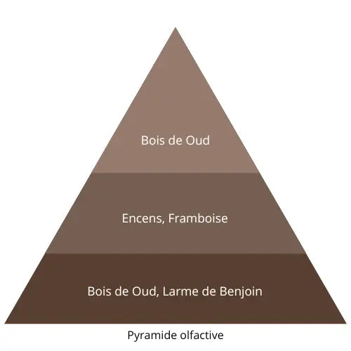 Le Noir L’univers Du Parfum