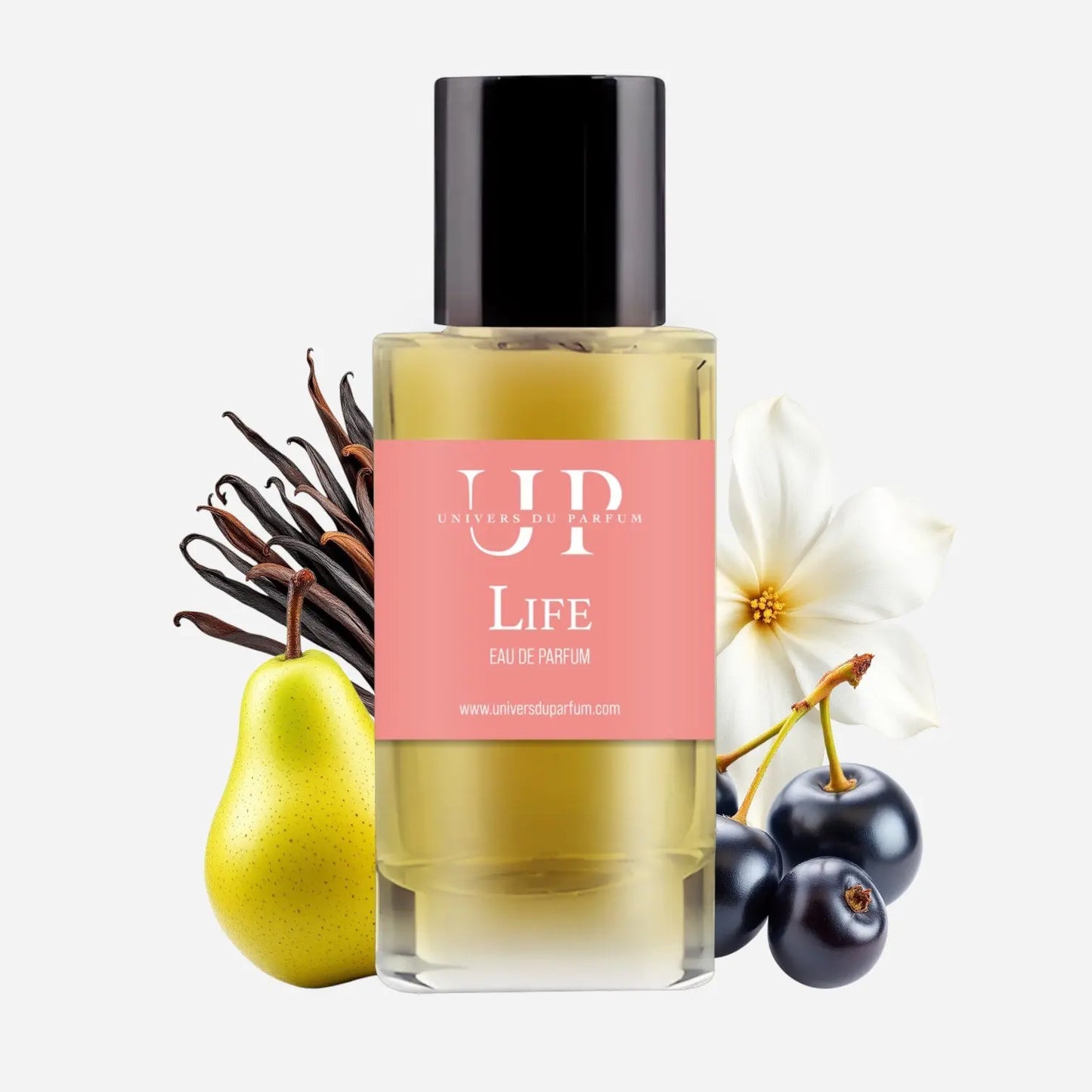 Life L’univers Du Parfum