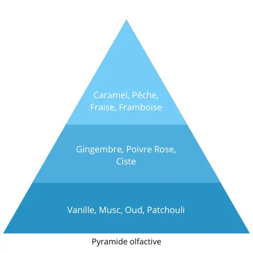 Luma L’univers Du Parfum