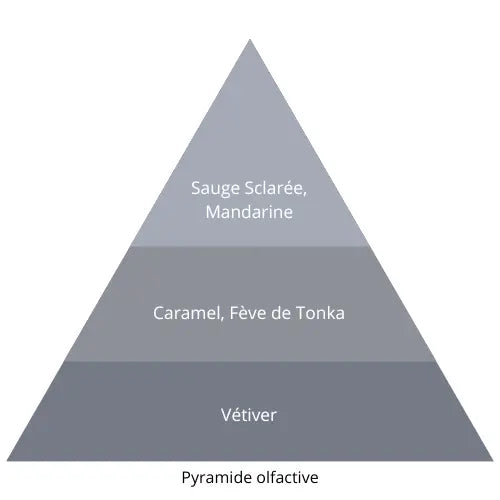 Men L’univers Du Parfum