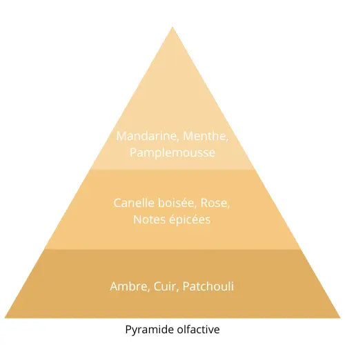 Milli L’univers Du Parfum