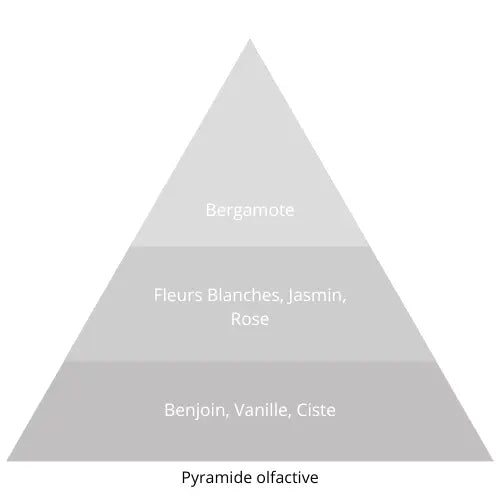 Neige Dorée L’univers Du Parfum