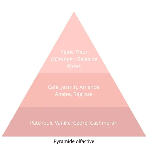 Opal Noir L’univers Du Parfum