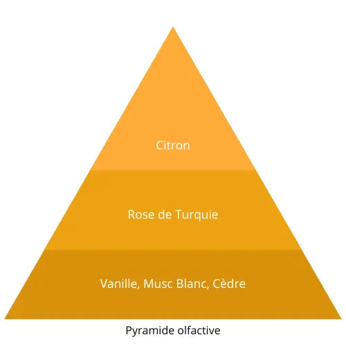 Sweet Rose L’univers Du Parfum