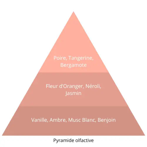 Vadox L’univers Du Parfum