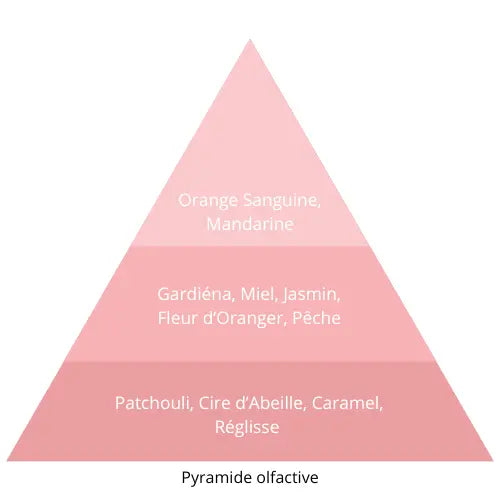 Women L’univers Du Parfum