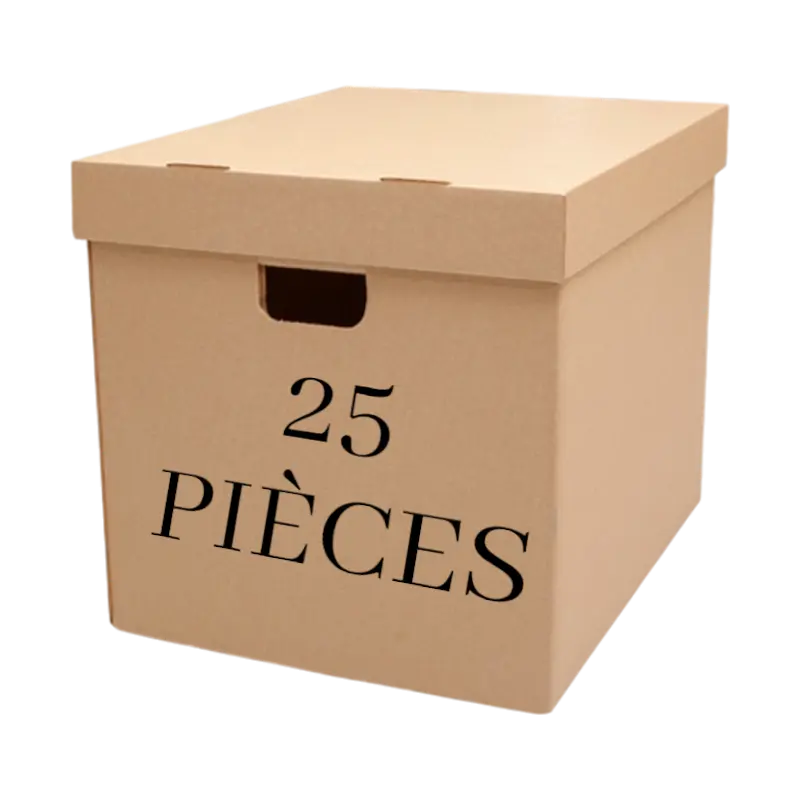 Lot 25 pièces