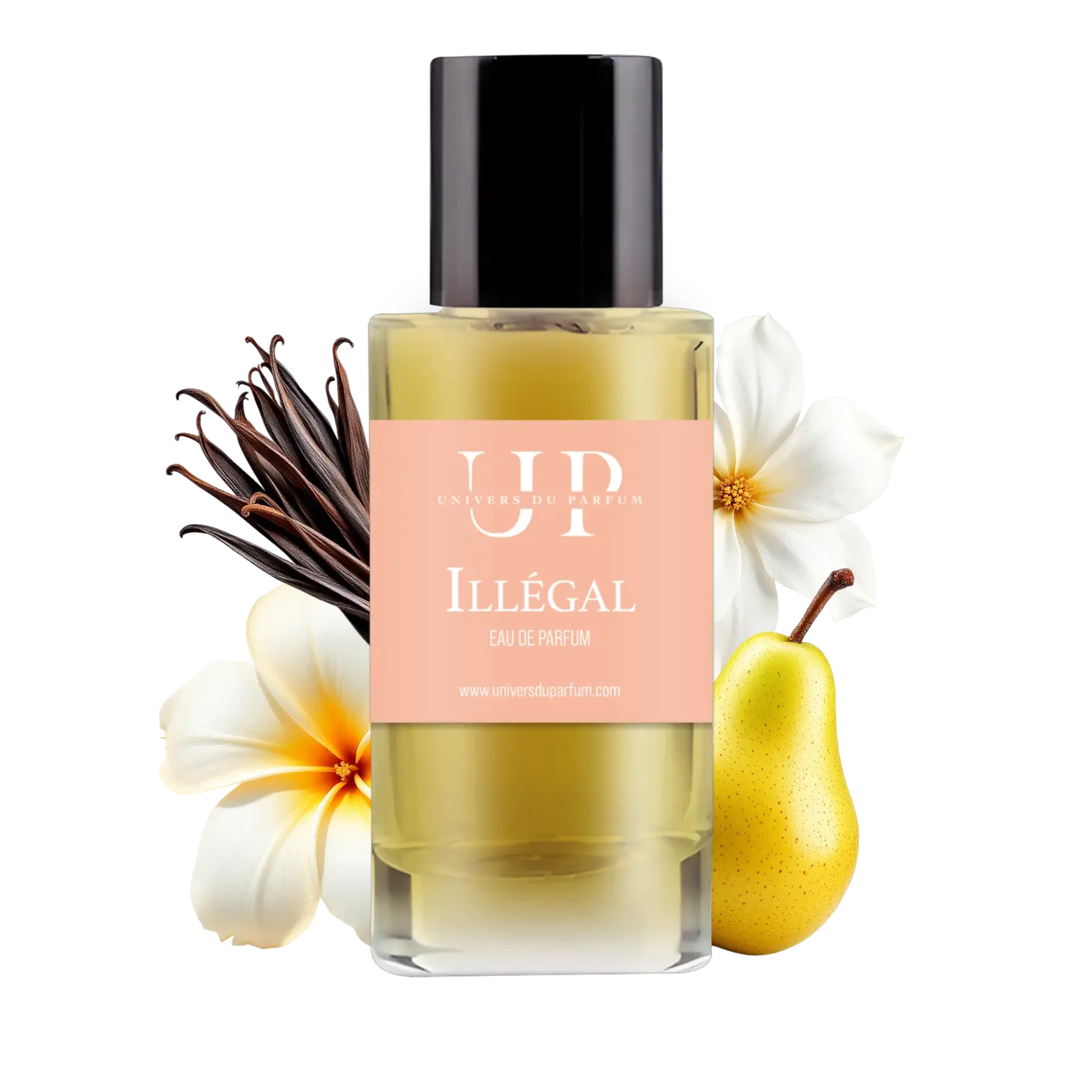 Univers du Parfum - Expert en Parfumerie Fine – L’univers Du Parfum