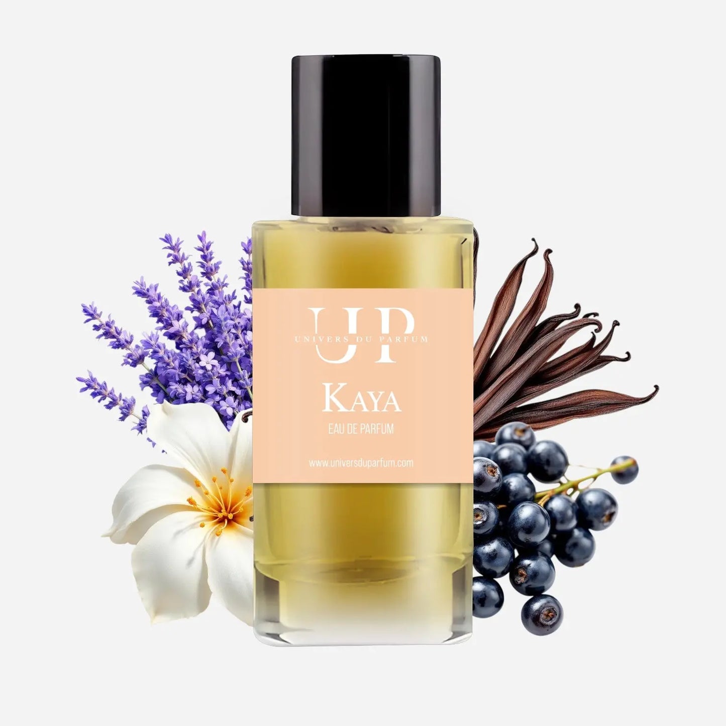 Kaya L’univers Du Parfum