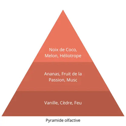 Twisty L’univers Du Parfum