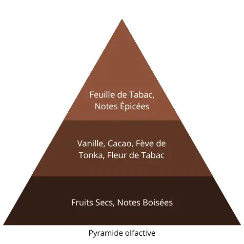 Black Vanille L’univers Du Parfum