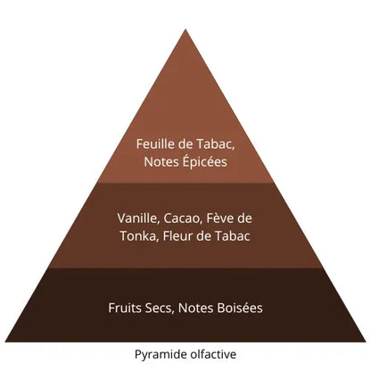 Black Vanille L’univers Du Parfum