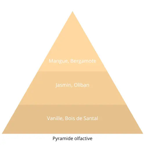 Glory L’univers Du Parfum