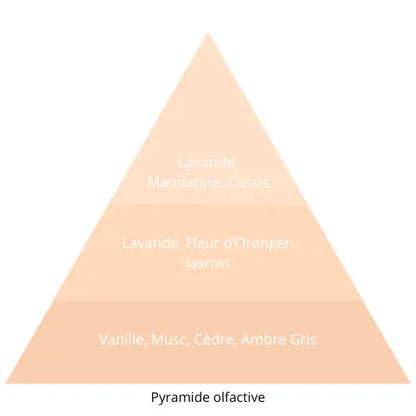 Kaya L’univers Du Parfum