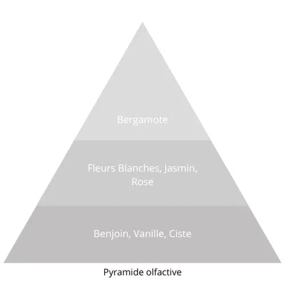 Neige Dorée L’univers Du Parfum