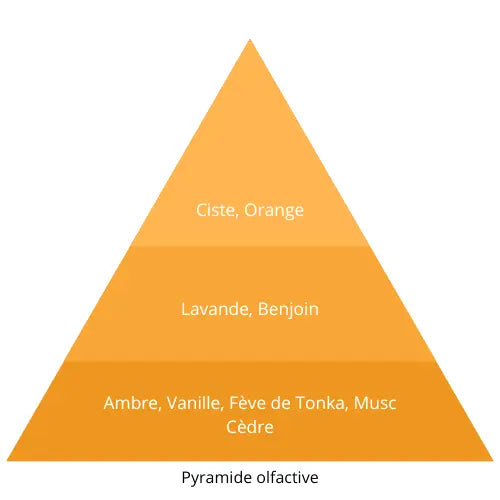 Nuit Royale L’univers Du Parfum