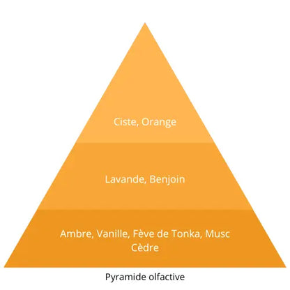 Nuit Royale L’univers Du Parfum