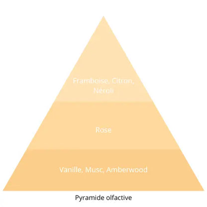 Only Me L’univers Du Parfum