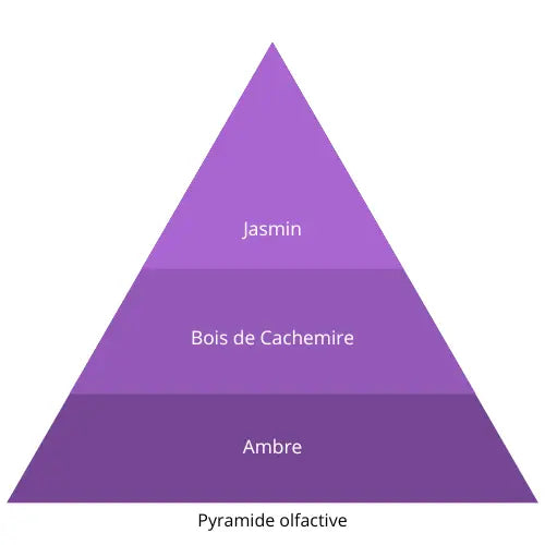 Ovnie L’univers Du Parfum