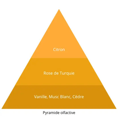 Sweet Rose L’univers Du Parfum