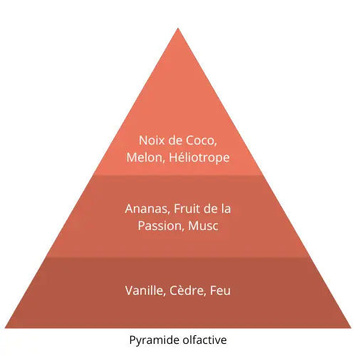 Twisty L’univers Du Parfum