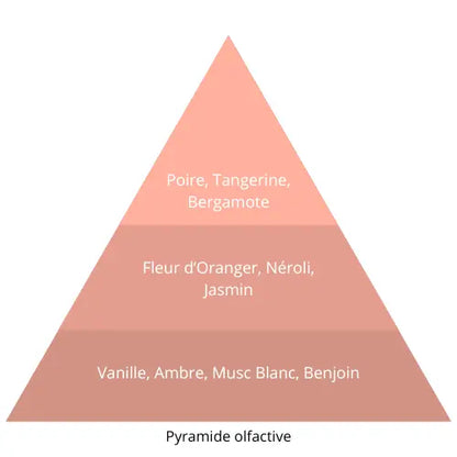 Vadox L’univers Du Parfum